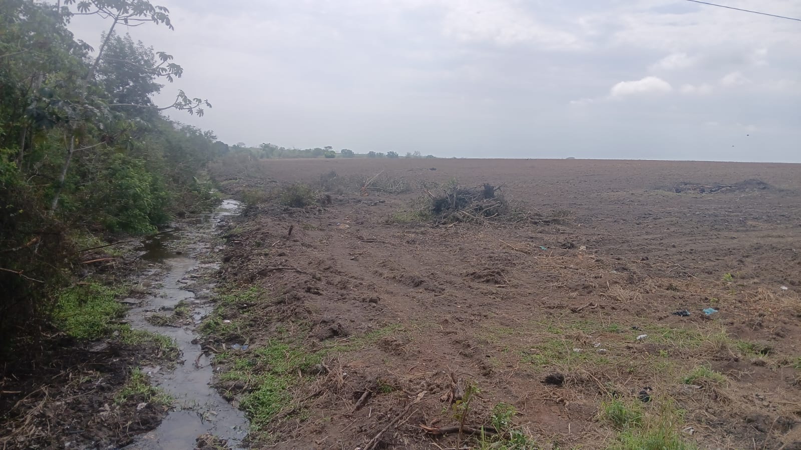 Denúncia ao Linha Verde leva polícia a localizar 100 mil metros quadrados de área degradada em Campos dos Goytacazes